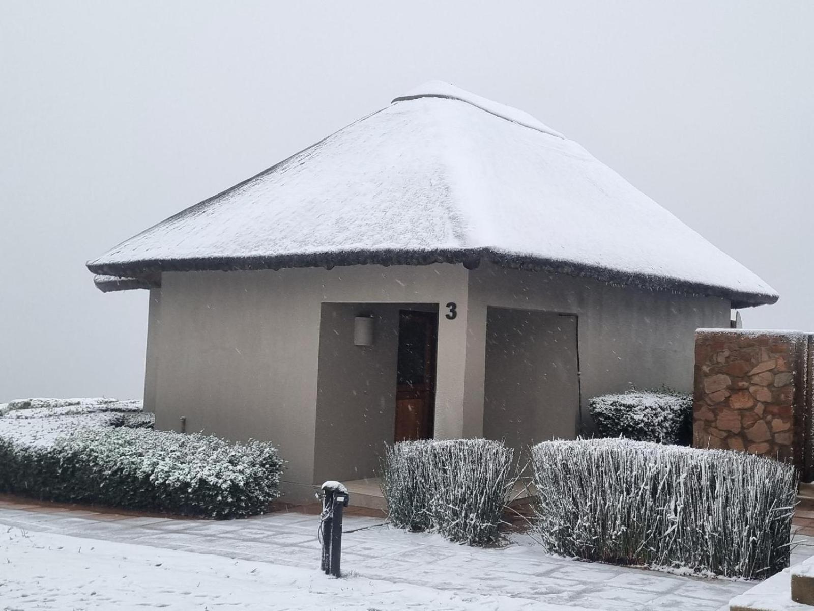 Apartament Rooilande Guest Farm Laingsburg Zewnętrze zdjęcie